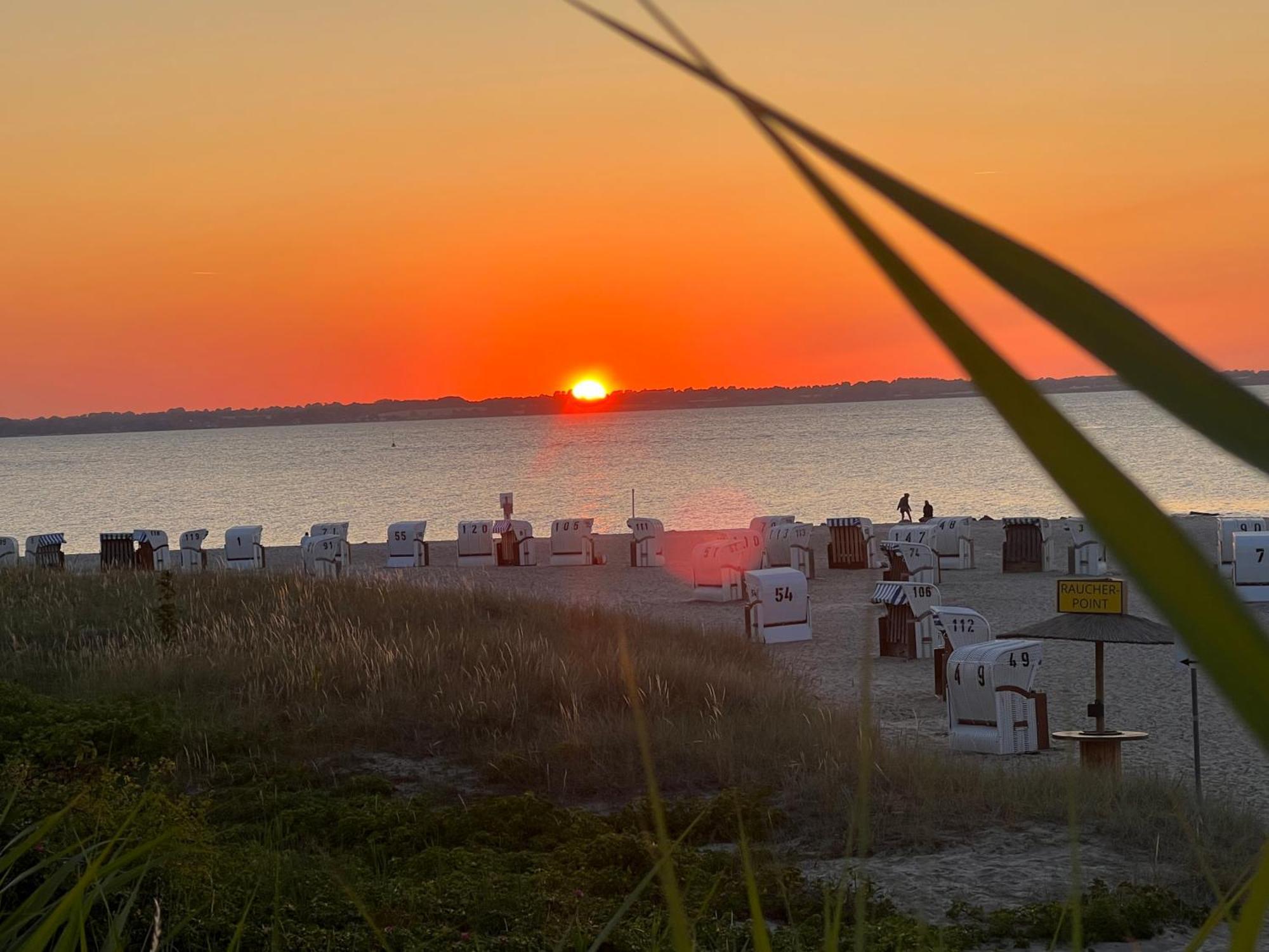 Neue Ferienwohnung An Der Ostsee,Terrasse,Sauna Surendorf المظهر الخارجي الصورة